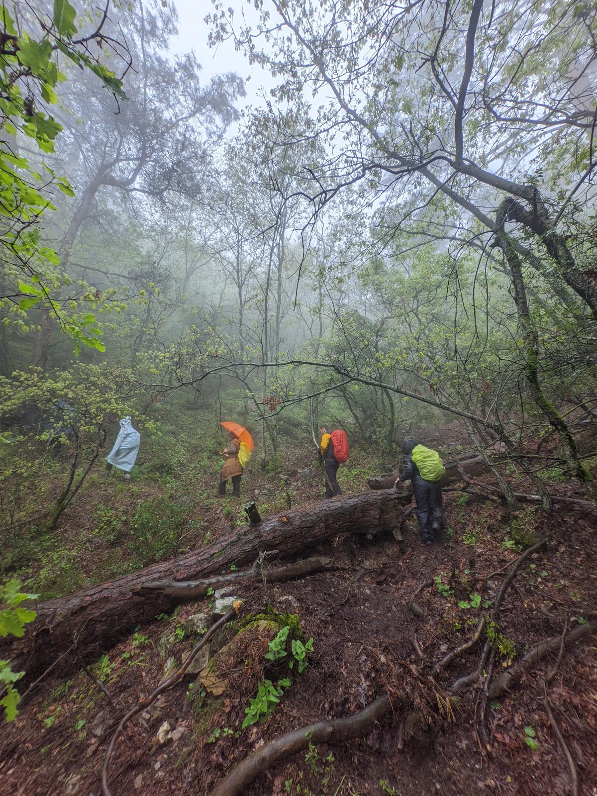 TURBELDAK'tan Ören Kanyonu’nda 12 Km’lik Yürüyüş