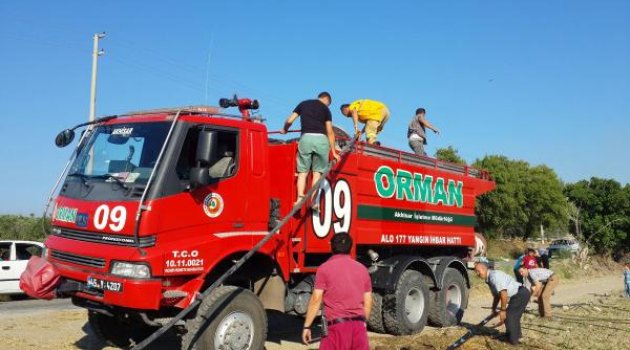 10 Hektar orman küle döndü