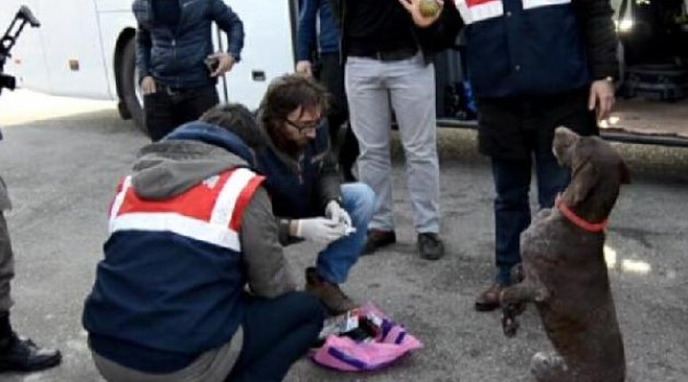 2 otobüste esrar ele geçti