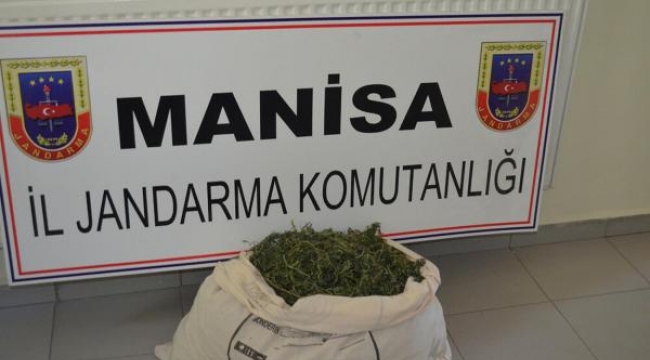 3 kilo esrar ele geçirildi