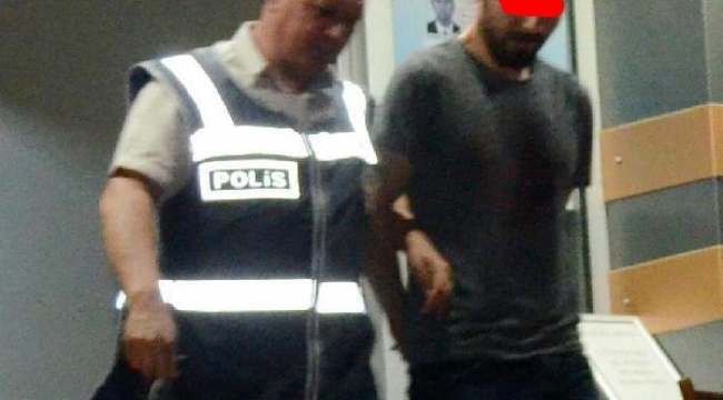 Bonzai yapımında kullanılan madde ile yakalanıp, tutuklandılar
