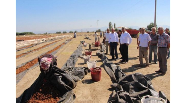 CHP'li Özel: Rusya uçağı üzüm üreticisinin üzerine düştü