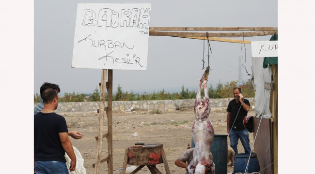Yasak dinlemediler, ilkel koşullarda kesim yaptılar