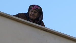 Bu kez kedi kurtarılamadı