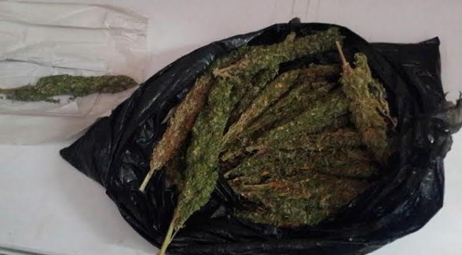 Esrar'dan 11 kişi hakkında işlem yapıldı