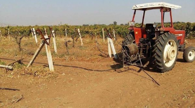 Üreticiler üzümden vazgeçmeye başladı