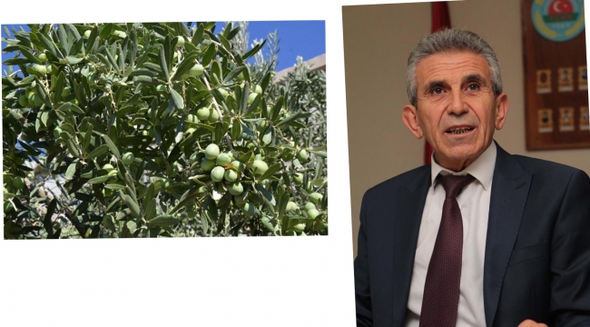Zeytin üreticisine kuyu önerisi