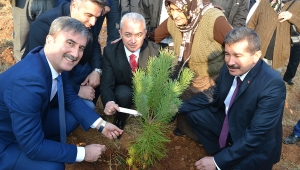 Şehitler adına  hatıra ormanı