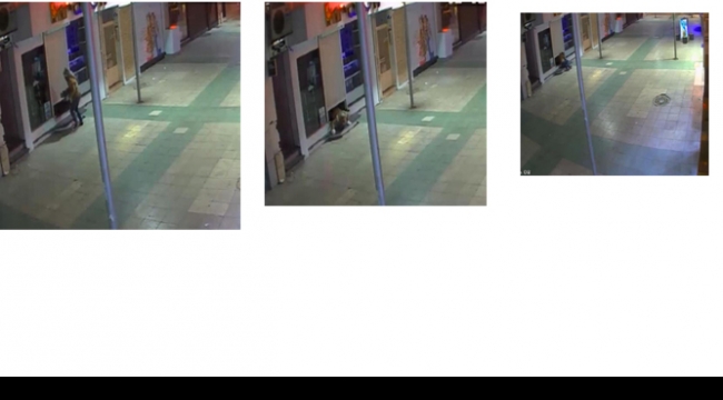 Hırsız yakalanmamak için kamera sistemini de çaldı