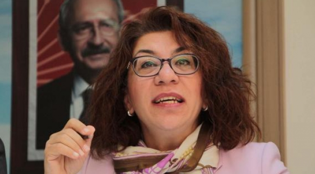 CHP'li Biçer: Kim mülteci kim terörist belli değil