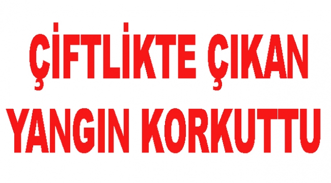 Çiftlikte çıkan yangın korkuttu