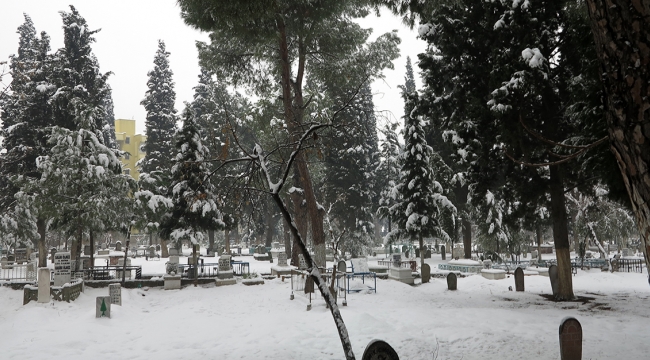 VEFATLAR