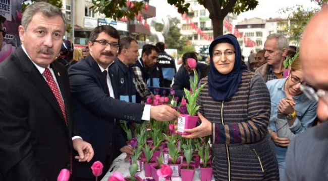 2 bin 500 lale soğanı dağıtıldı