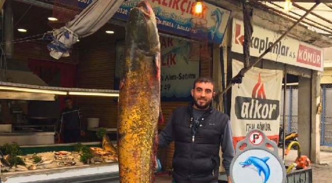 Dev yayın balığı şaşkınlığı