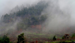  Ege'ye bu kadar yakın Karadeniz,  böylesine güzel