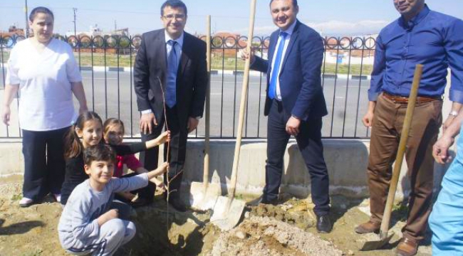 Fidanlar hastane için dikildi