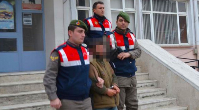 Hayvan hırsızlığı operayonu: 7 gözaltı