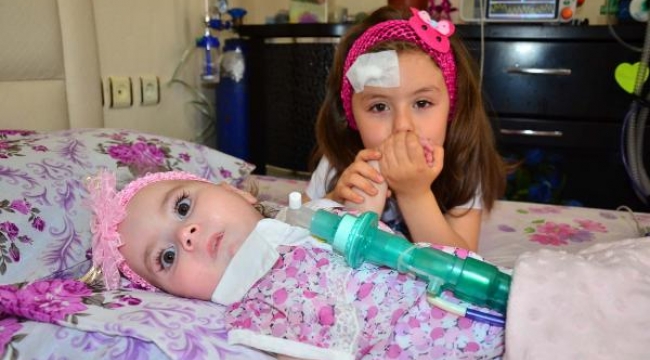 'Ben onu mezara değil, parka götürmek istiyorum"
