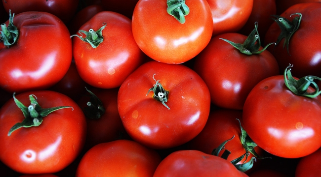 Domatesin fiyatı çakıldı