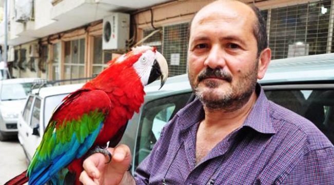 Papağanı 'Zaza' çocuğu gibi oldu