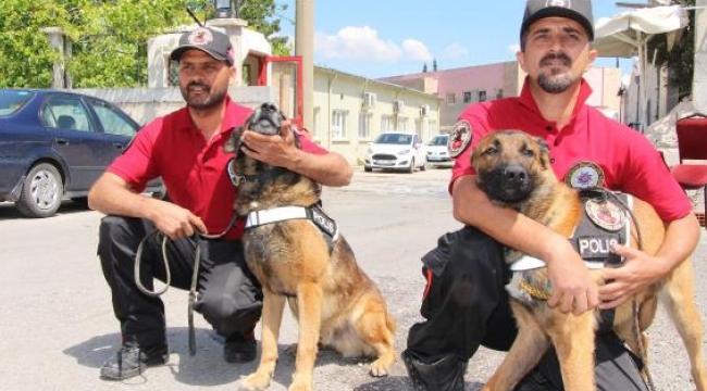 Polis, eğiteceği köpeği doğumda seçiyor