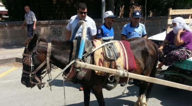 Zabıtadan at arabalarına karşı özel ekip