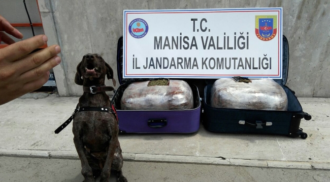 Jandarma uyuşturucu ile mücadelede kararlı