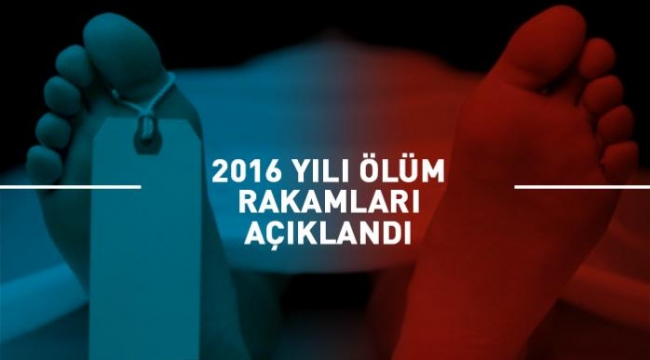 Ölenlerin yüzde 54,8'ini erkekler
