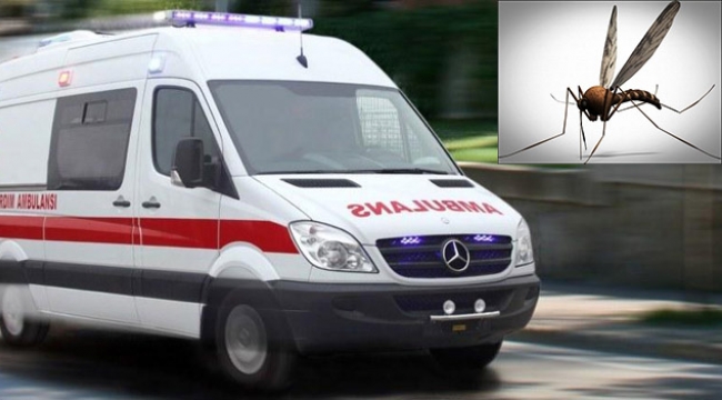 "Sivrisinek ısırdı ambulans gönderin"