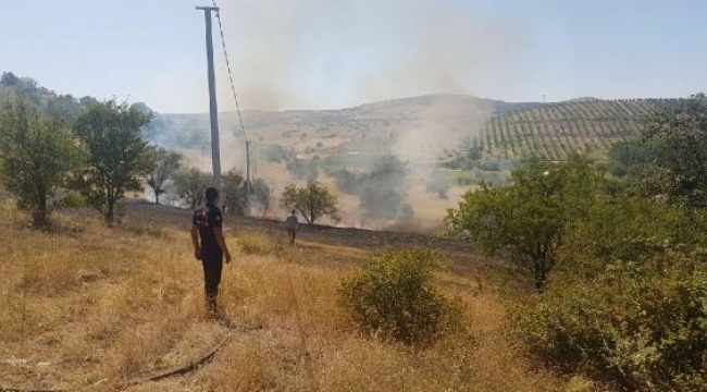 Tarım arazisinde yangın