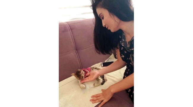 Buse, yavru kediyi yaşama döndürdü