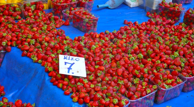 Çilek 7 liradan alıcı buldu