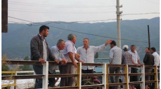 Üzüm bağlarını sel bastı 