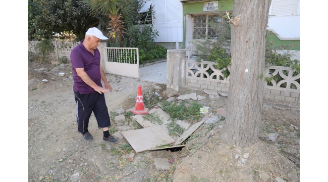 'Ağaçlar evlerin önünde sorun teşkil etmeye başladı'
