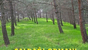 Çaldağı gündemden düşmüyor