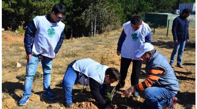 Down sendromlu gençler Spil'de fidan dikti