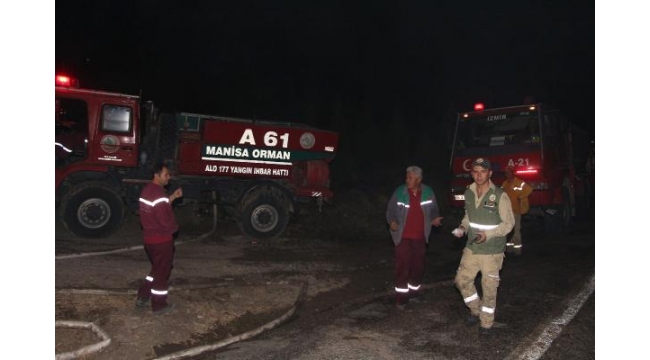 Manisa'da orman yangını 