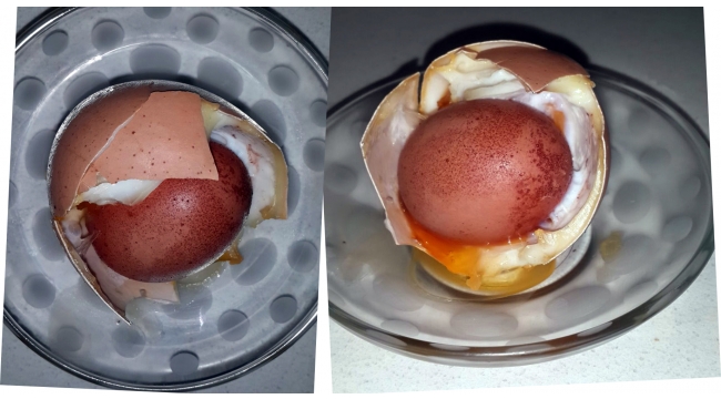 Yumurtanın içinden yumurta çıktı