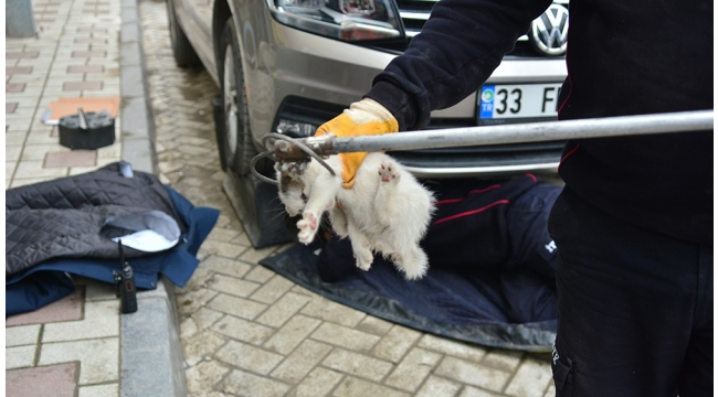 İtfaiye, otomobilin motoruna sıkışan kediyi kurtardı