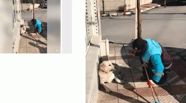 Sokak köpeğine şarkı söyleyen çöpçü fenomen oldu