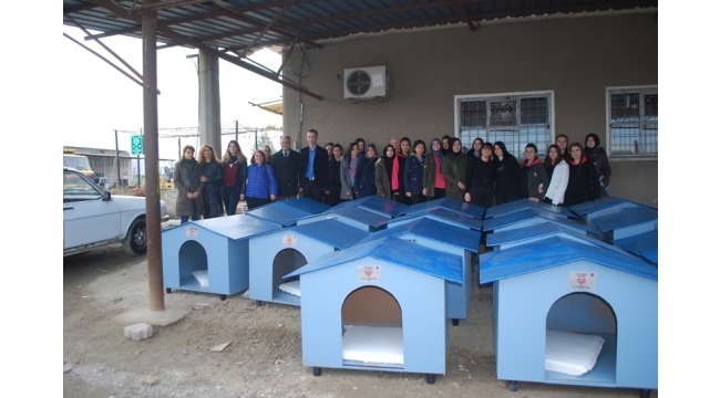 Zübeyde Hanım öğrencileri barınağa 24 köpek kulübesi bağışladı