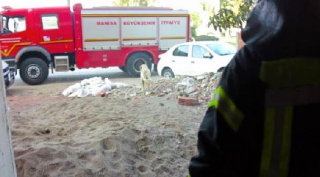 Asansör boşluğuna düşen köpeği itfaiye kurtardı