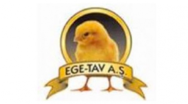 Elektrik Personeli aranıyor