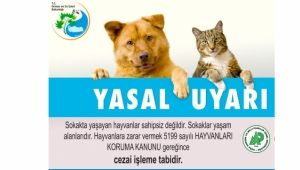 Hayvanlara kötü davranışta bulunanları Manisa    : 0236- 2371061’e bildirebilirsiniz