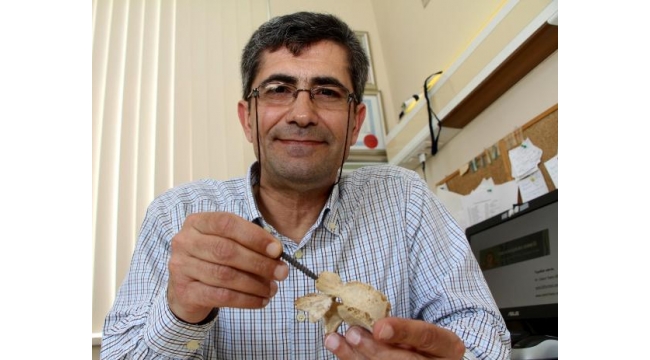 3 boyutlu metal yazıcıda omurga vidası üretildi