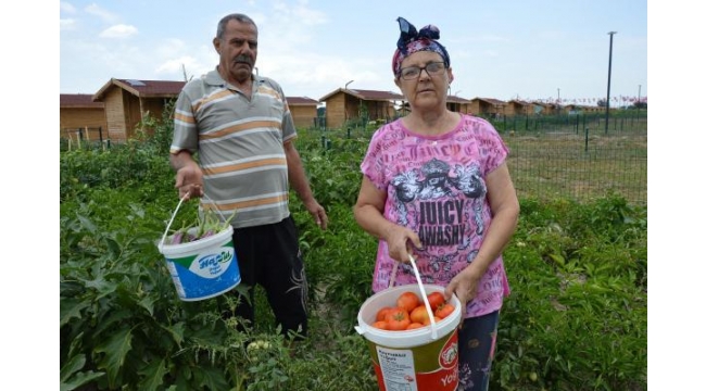 Şehrin stresinden kaçıp, hobi bahçelerinde rahatlıyorlar