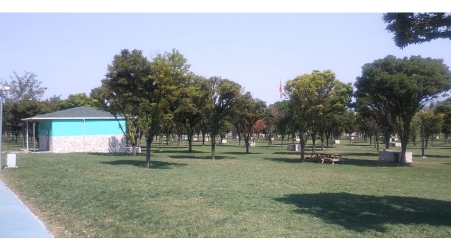 Büyükşehir'in büyük ayıbı