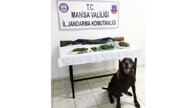 Jandarma 1393 gr esrar ve 2 ruhsatsız av tüfeği ele geçirdi