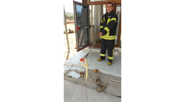 Mutfağa giren yılanı itfaiye yakaladı