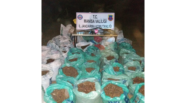 Çaldıkları üzümleri araçlarına yüklerken suçüstü yakalandılar